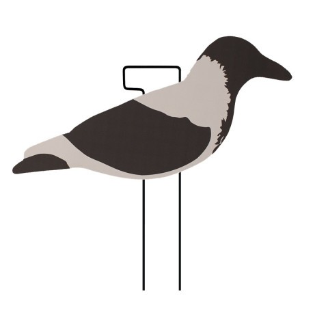 Final Approach Last Pass varis siluettikaave