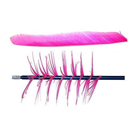 Gateway luonnonsulka 10" Spiral