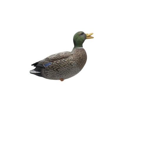 Final Approach Live Full Body Early Season Mallard