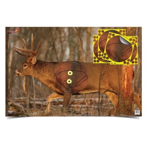 Eze-Scorer™23 x 35 Whitetail Deer -ampumataulu