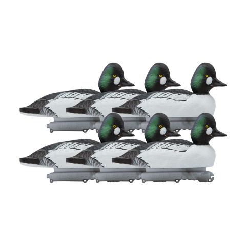 Final Approch Live Common Goldeneye -telkkäkaave